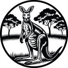 Australian kangaroo standing upright in natural pose © Model