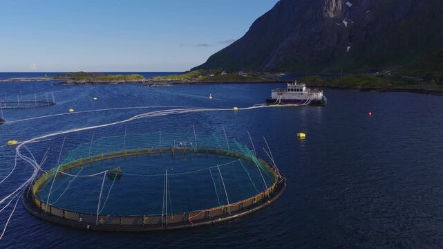 Aerial view of salmon pens, walkways, yellow buoys, and a service barge in Lofoten, Norway. Steep rocky slopes and islets frame deep water with gentle ripples.