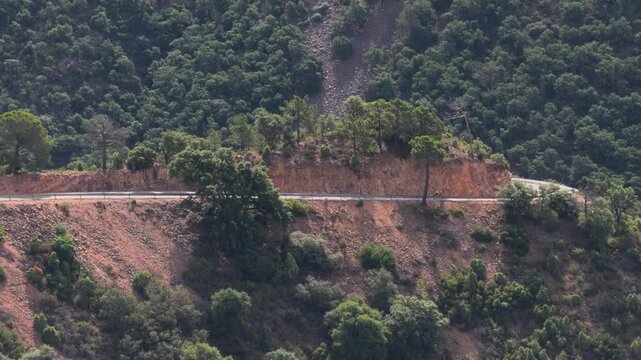 Lonely Cyclist Pedaling Through Misty Mountain Forest Road