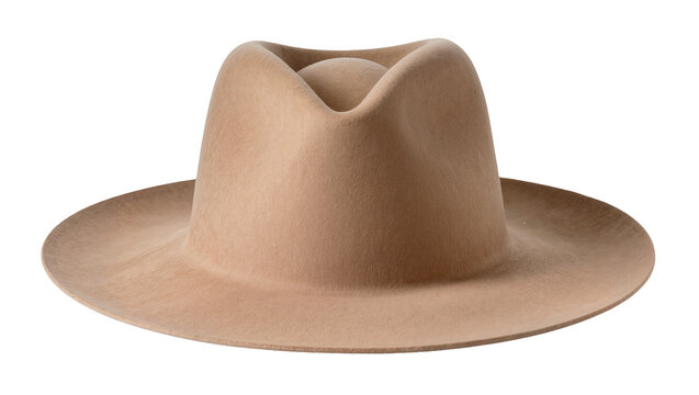 Felt fedora hat with wide brim and creased crown