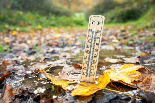 Thermometer with wet autumn foliage, fall season, measure the temperature, weather forecast, cold rainy day