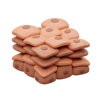 3D Rendering of Stratified Squamous Epithelial Cells