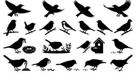 Fototapeta premium Flying and Perching Bird Silhouettes Collection Isolated Wildlife Vector Set
