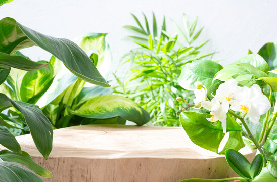 Wooden podium with tropical plants in sunlight shadows on abstract blurred white background