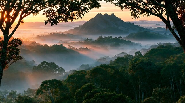 Untamed Wilderness: The Voltzberg Granite Dome Rising Above a Misty Rainforest Canopy at Dawn in Raleighvallen, Suriname