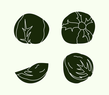 Solid Cabbage Illustration Bundle Fresh Vegetable Filled Vector Icon Set Clean Graphic Collection