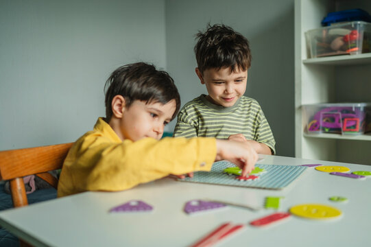 Brothers playing and learning with constructor toy at home