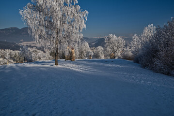 Obraz premium Kalvaria above Ruzomberok city in Slovakia during winter