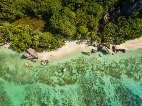 Seychelles, La Digue Island, Anse Source D'Argent, Aerial view of beach