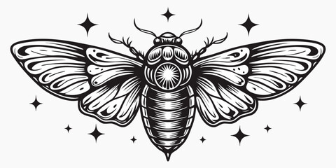 Death s head Hawkmoth Illustration Black And White Engraving Style © Prosanta