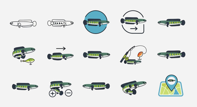 Snakehead Fish Icons Set: Fishing, Movement, Location and Evolution