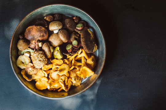 Directly above shot of various mushrooms in container on table