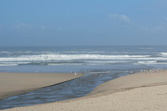 Portugal beach landscape where fresh water meets the sea waves The Concept of coastal environment