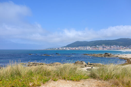 Coastal nature scene with wild grass in the foreground and a distant coastal settlement