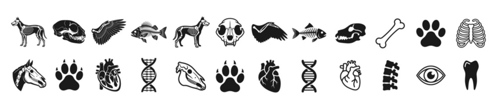 Animal anatomy illustrations vector icon, dog skeleton, cat skull, bird wing, fish skeleton, horse head, paw print, animal heart, DNA helix.