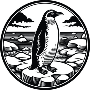 Black and white of a penguin standing on ice bird
