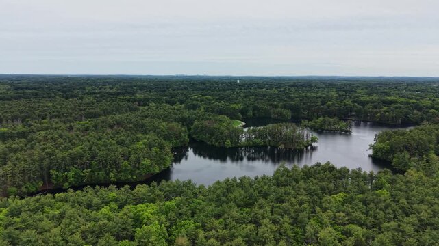 Lateral drone flight at Harold Parker State Forest in Andover, Massachusetts, Boston skyline visible on the horizon