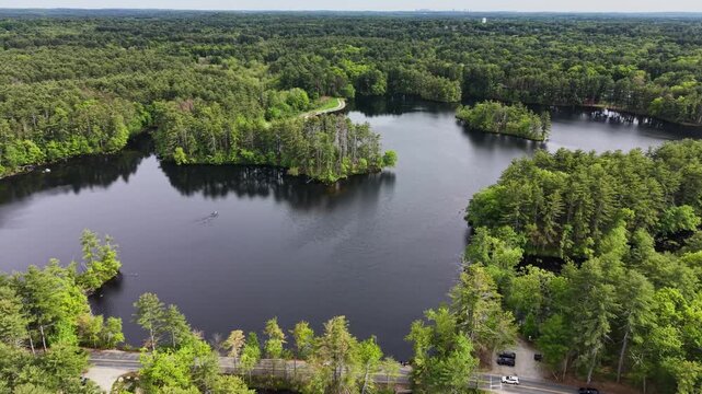 Drone aerial of scenic lake in Harold Parker State Forest surrounded by dense green pine tree forest, Andover, Massachusetts, USA