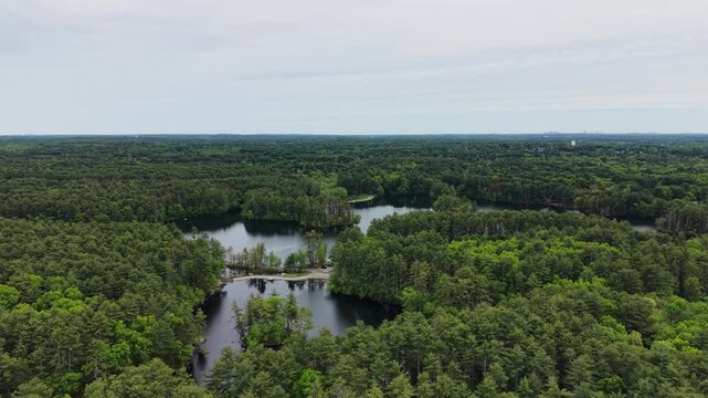 Aerial bird's eye of Harold Parker State Forest, in Andover with the Boston Skyline on the horizon, stunning aerial forest view