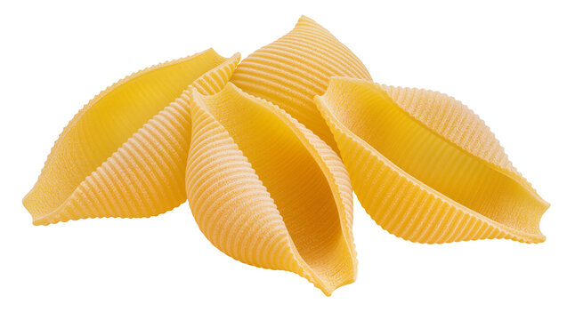 Group of large ribbed pasta shells conchiglioni, uncooked