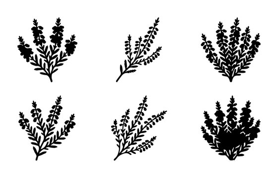 Botanical Heather Sprigs, Wildflower Elements, Floral Vector Icons