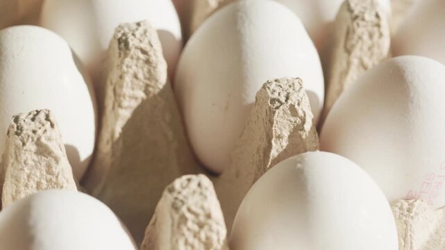 Close-Up White Eggs in Sunlight