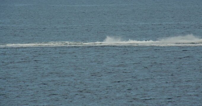 Long shot of Two Jet ski, Seadoo Racing on the Sea at Puerto Calero