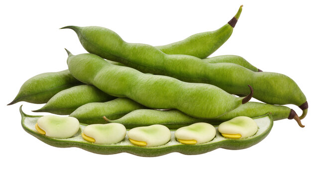 Fresh green broad bean pods with opened pod showing white beans and yellow centers