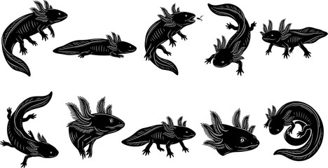 Obraz premium vector can editable Ethereal aquatic ambystoma mexicanum silhouettes in graceful subterranean motion