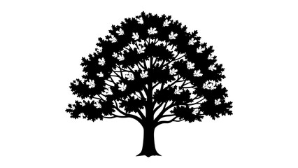 Silhouette of an Oak Tree: A striking black silhouette of a mature oak tree with a sprawling canopy of leaves stands against a contrasting background, symbolizing strength and nature. © Murshida