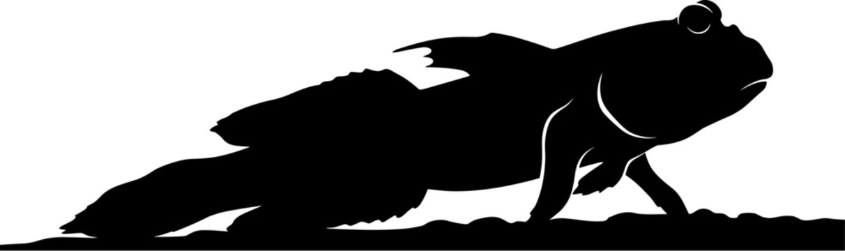 vector can editable Stark black silhouette of a mudskipper amphibious fish navigating coastal mudflats