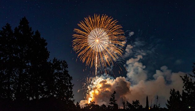 Nighttime Firework Burst with Trees