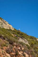Fototapeta premium Daytime moon rising behind a rocky slope with green vegetation of the Montseny mountain with green vegetation under a clear blue sky.