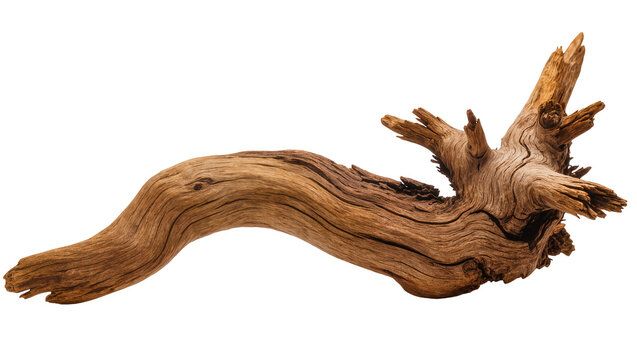 Curved gnarled wooden branch with rough texture and splintered ends