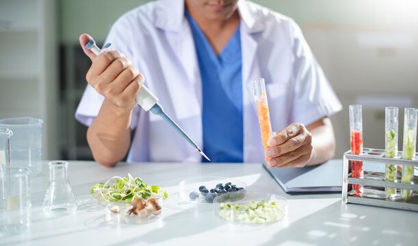 A researcher performs nutritional analysis on food samples in a modern laboratory. Ideal for projects on food science,