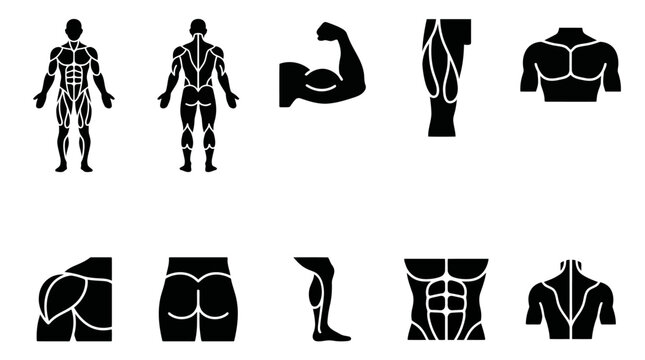 Set of human muscular system icons.