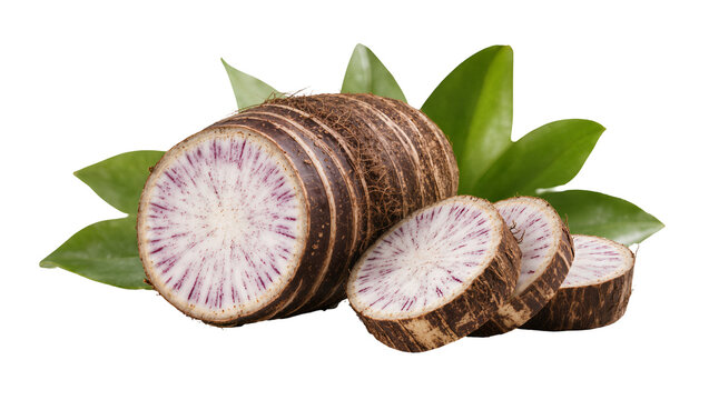 Taro root cut slices with purple veins and green leaves