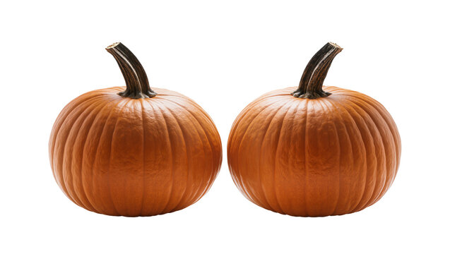 Two whole orange pumpkins with brown stems