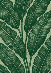 Obraz premium Tropical leaves textured illustration