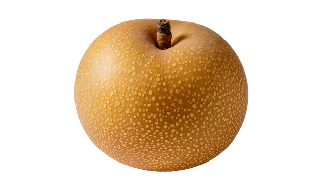 Round golden Nashi pear with brown stem and speckles