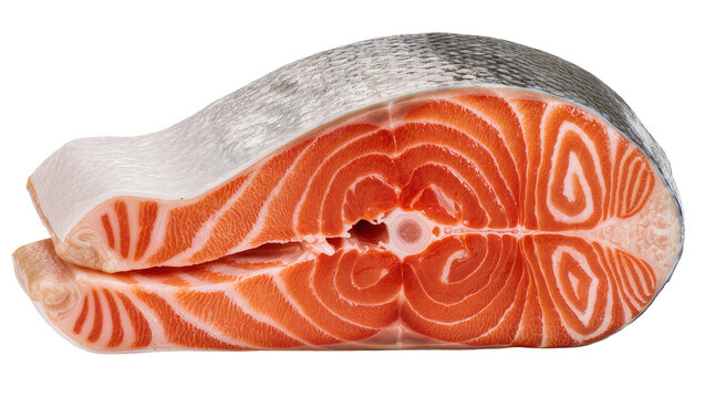 Fresh salmon steak with visible skin and flesh layers
