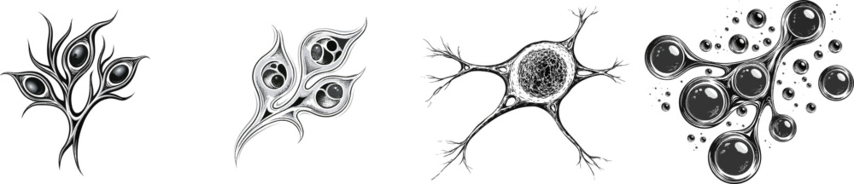 A black-and-white vector tracing of Plasmodium malaria parasite under a microscope showcases intricate details with high-contrast solid fills and negative space line work, mimicking vintage