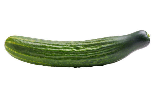 Long green cucumber with dark stripes and textured skin