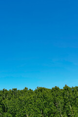 Fototapeta premium green hill and blue sky