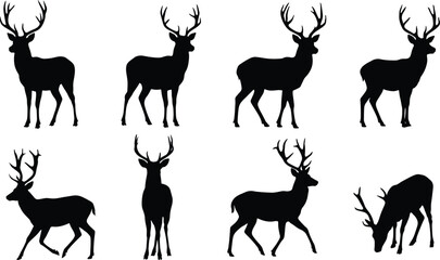 Majestic Deer Stag Silhouette Set, Multi-Pose Wild Buck Vector Icons, vector, illustration, silhouette. © naeem