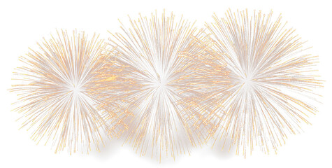 Obraz premium Bright Festive Fireworks Burst with Glowing Particles PNG