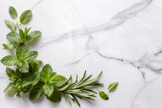 Corner frame made of mint sprigs on white marble