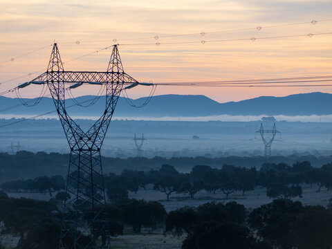 dawn among high-voltage cables