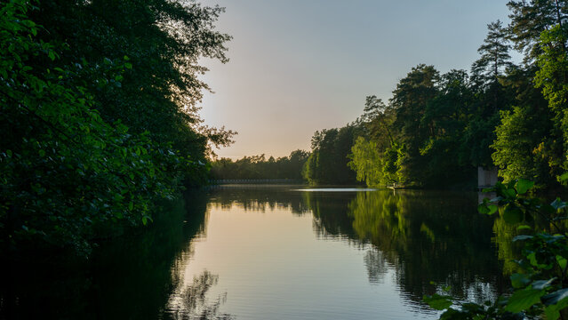 Scenic landscape of a calm forest lake during the golden hour, with still water reflecting the clear sky and dense trees on the shore. A distant structure is visible among the pines. Overhanging branc