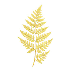 Obraz premium PNG Golden fern leaf on black